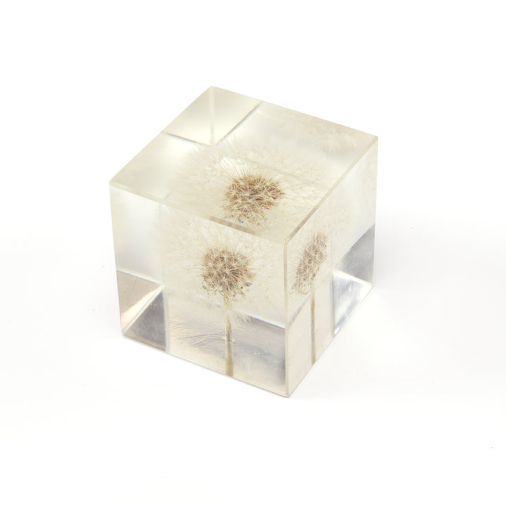 Lucite Dandelion Paperweight