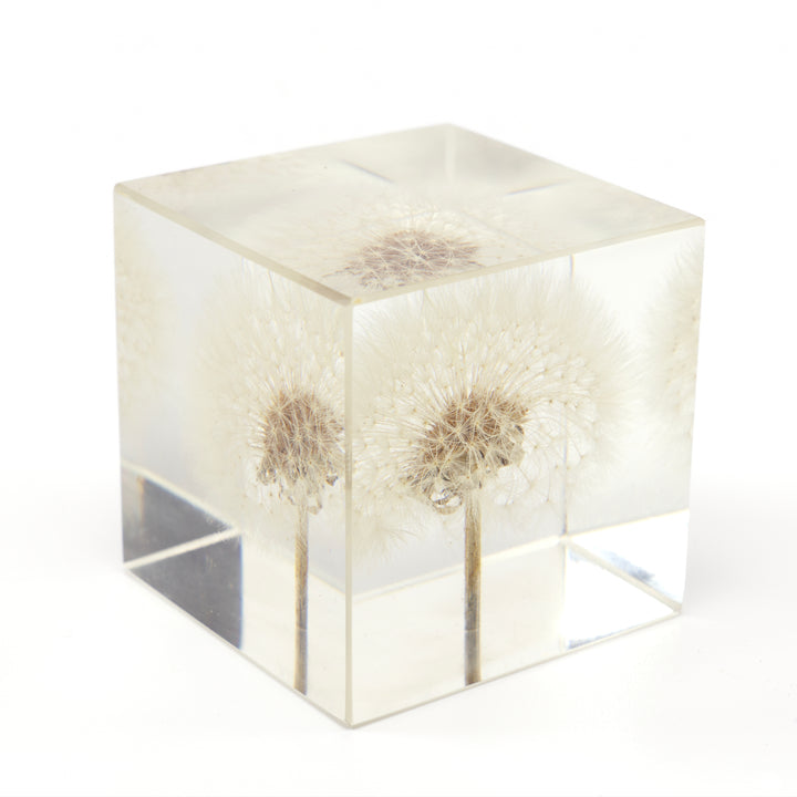 Lucite Dandelion Paperweight