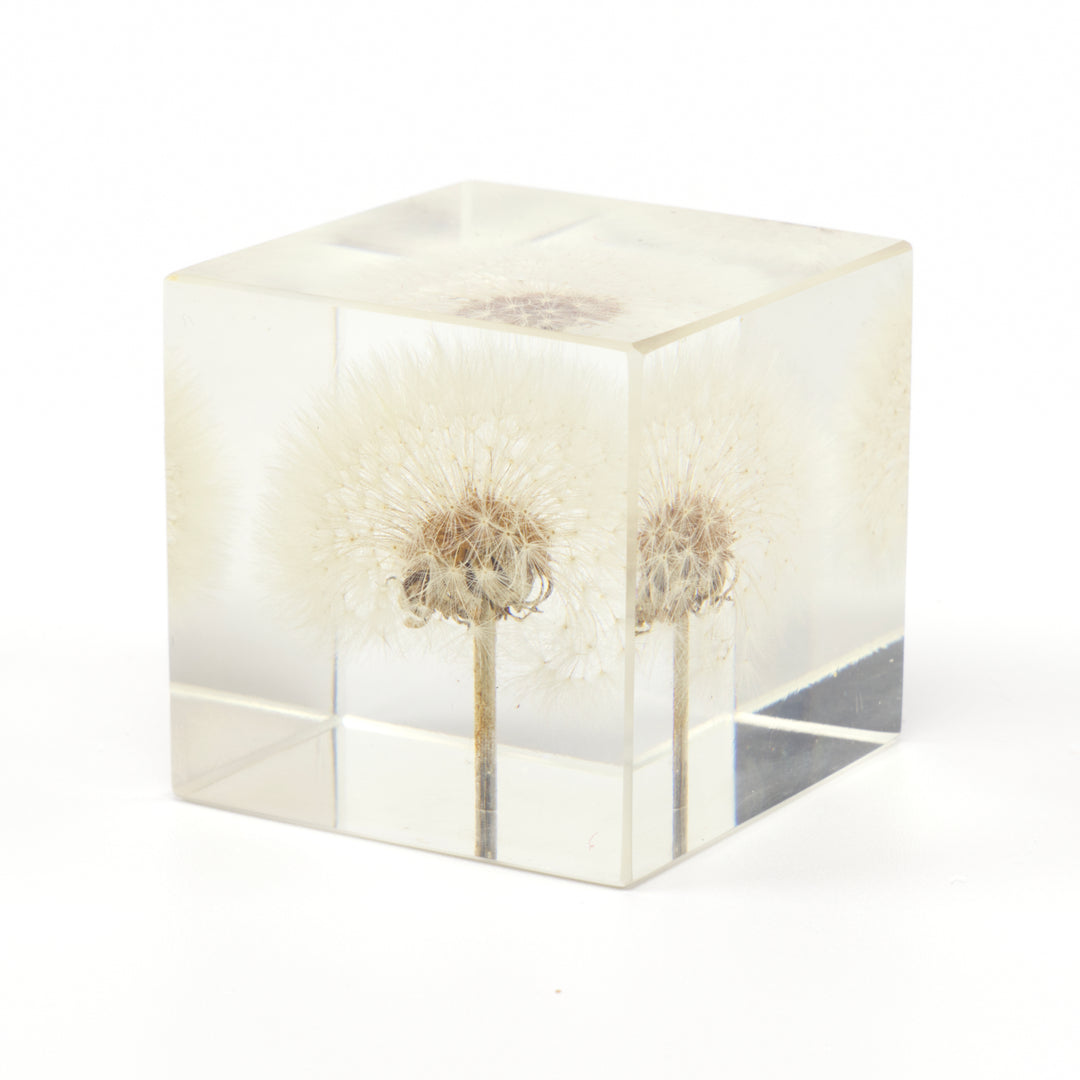 Lucite Dandelion Paperweight