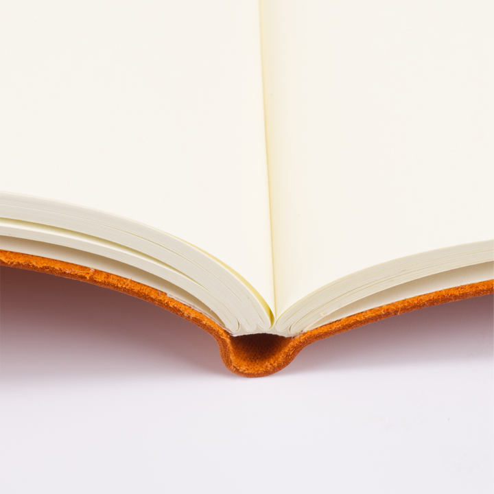 Alberone Journal