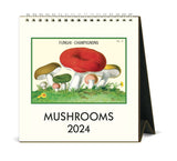 2024 Desk Calendar