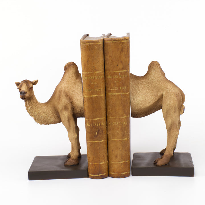 Camel Bookends