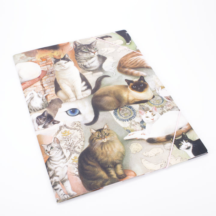 Bomo Art Laminated Folder