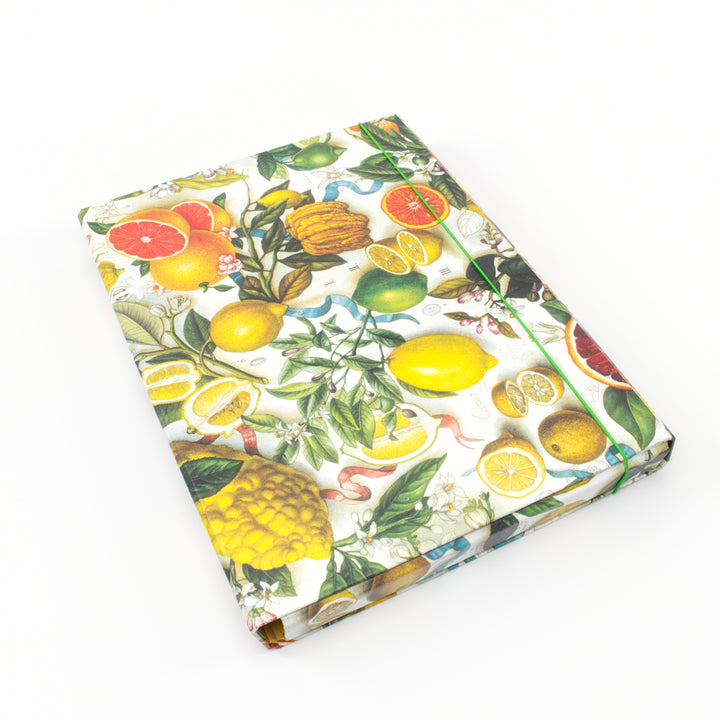 Bomo Art Box File