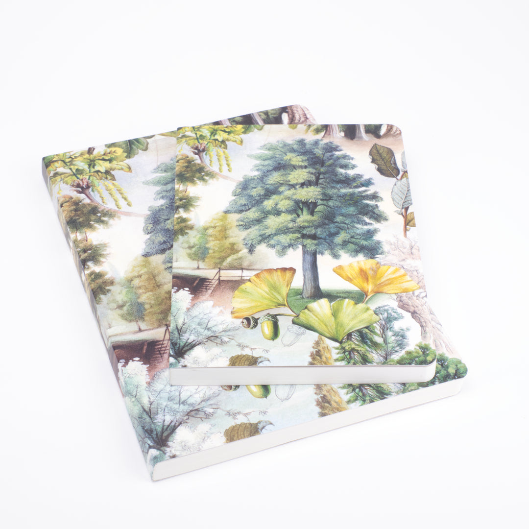 Bomo Art Mysterious Life of Trees Notebook