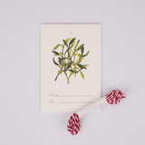 Christmas Gift Tags