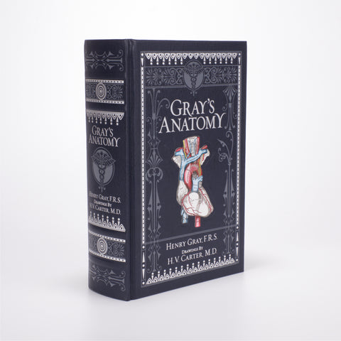 Gray’s Anatomy