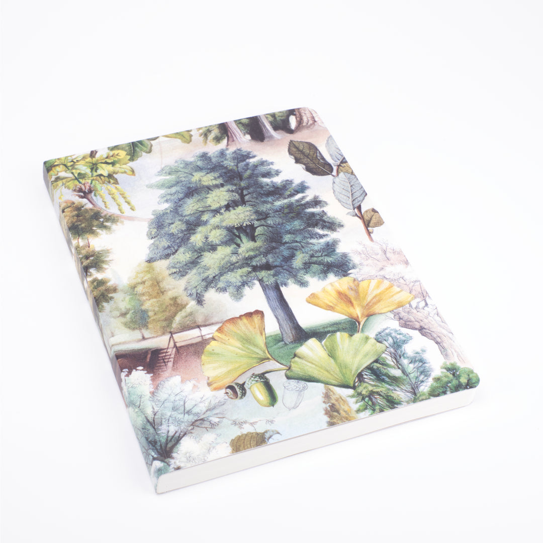 Bomo Art Mysterious Life of Trees Notebook