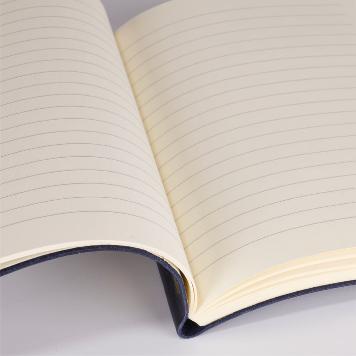 Medusa Journal