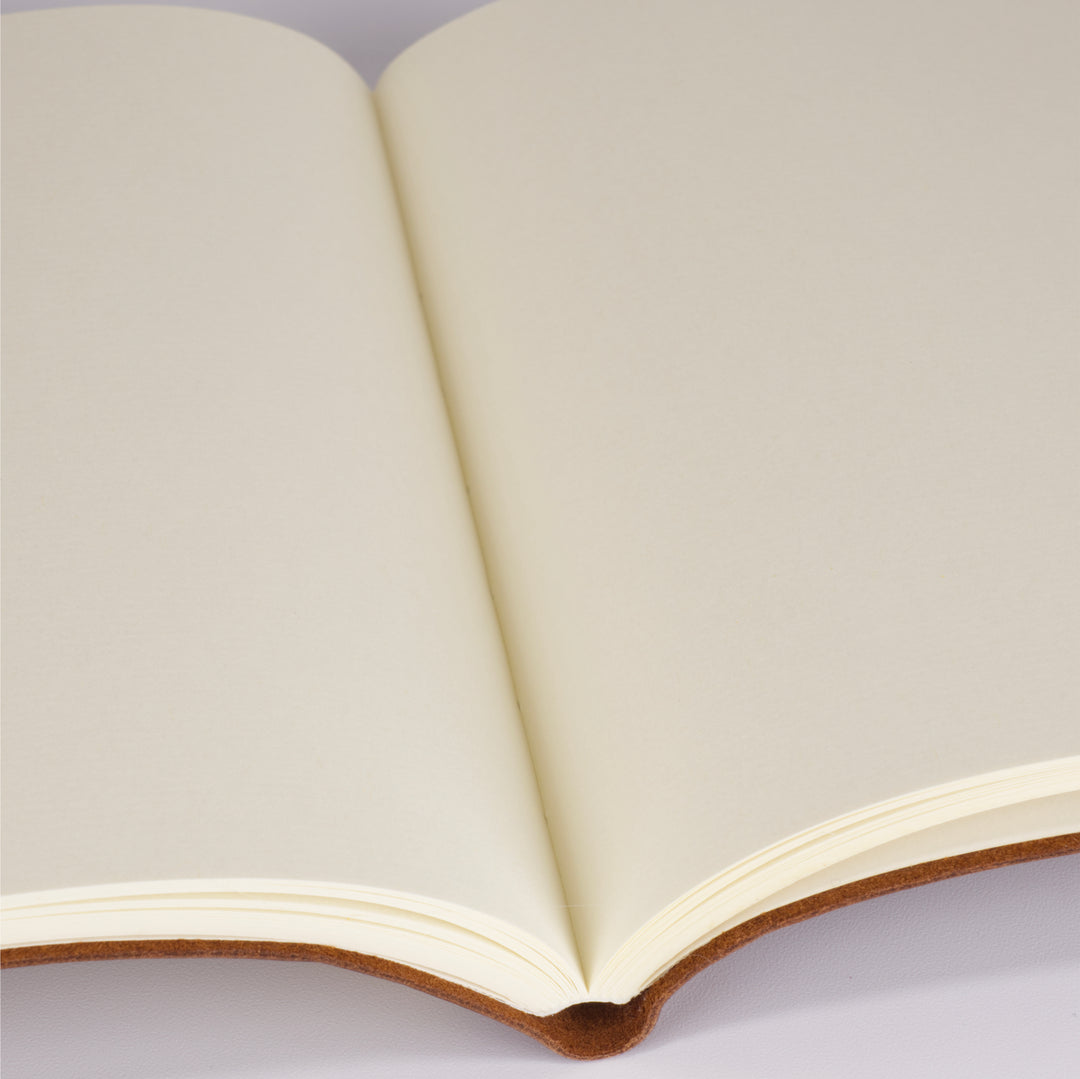 Medusa Journal