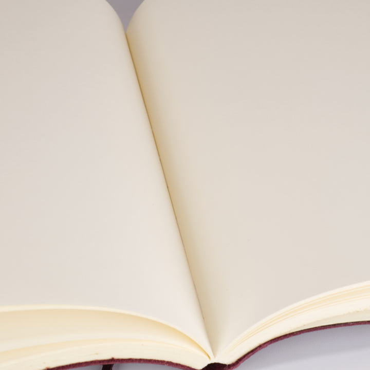 New Zakria Journal
