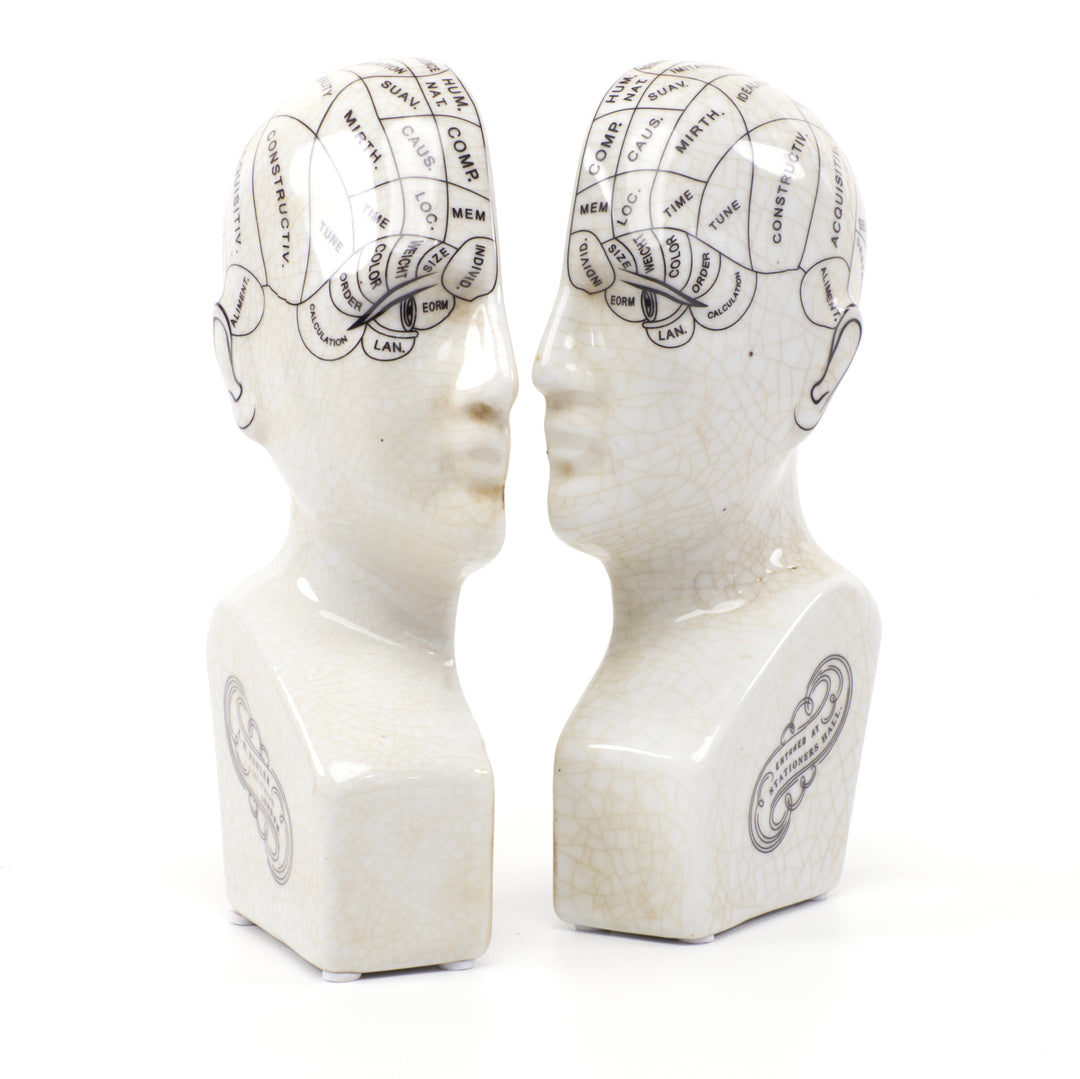 Phrenology Head Bookends