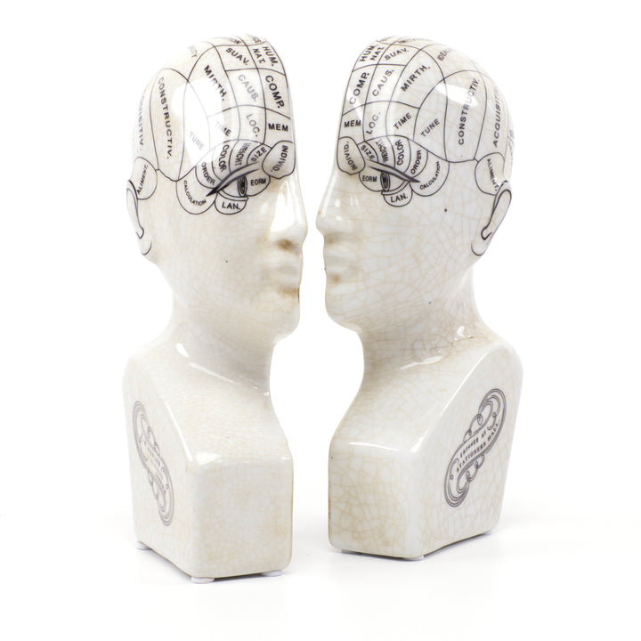 Phrenology Head Bookends