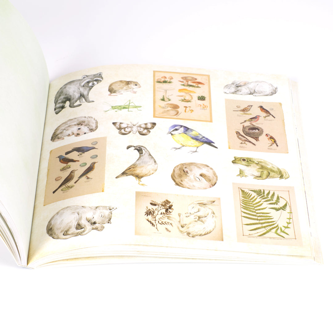 Ephemera Sticker Books