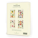 Boxed Cavallini Notecards