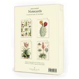 Boxed Cavallini Notecards