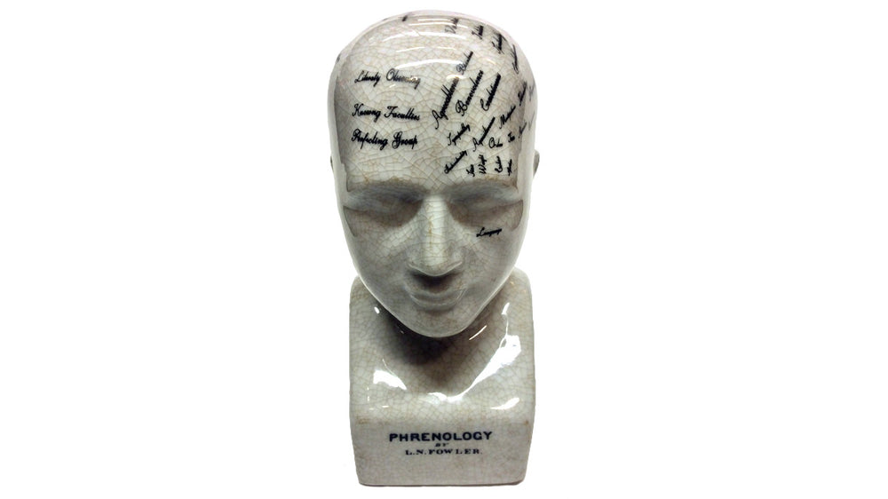 Small Phrenology Head