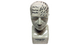 Small Phrenology Head