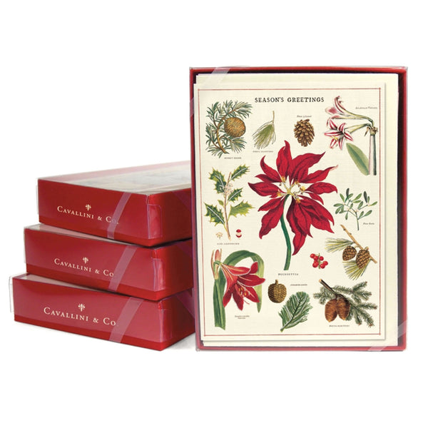 Cavallini Boxed Christmas Cards