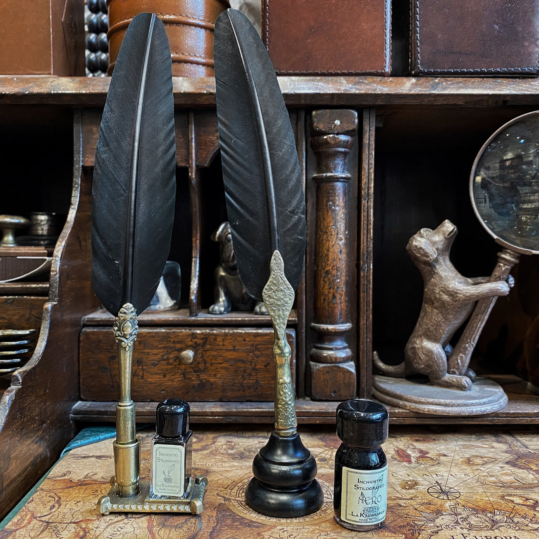 Black Feather Quill with Wooden Stand